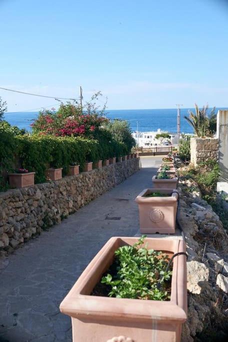 San Vito Apartament Polignano a Mare Kültér fotó